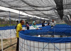 life scences biokewirausahaan